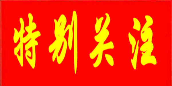 总书记和我握过手 | 满腔真情做学生的引路人