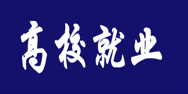 教育部长怀进鹏：以“百日冲刺”状态全力做好高校毕业生就业工作 