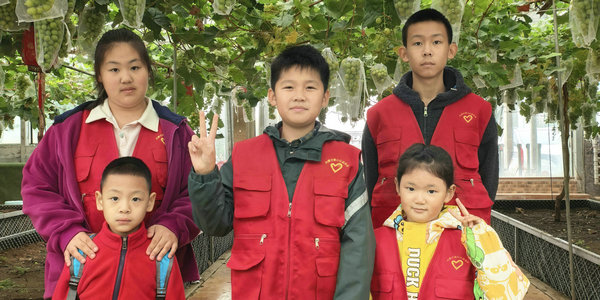 寒风里的小火苗!这个周末,小伦敦志愿者用成长把时光焐暖